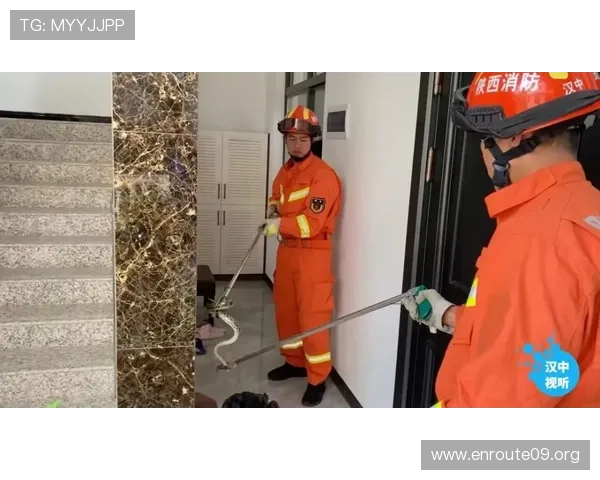 wellbet吉祥app的安全保障措施有哪些，确保您的个人信息与资金安全的实用建议